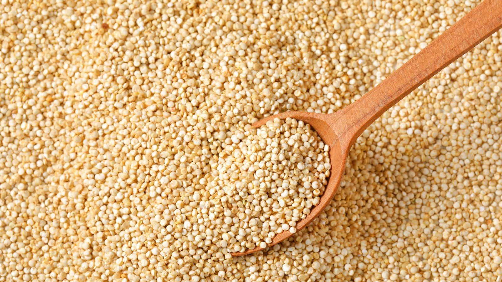 Du quinoa pris dans une cuillère