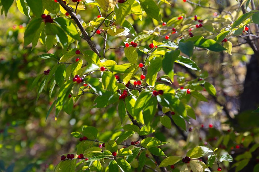 découvrez tout sur les toxines : leurs origines, effets sur la santé, méthodes de détection et conseils pour les éviter au quotidien.